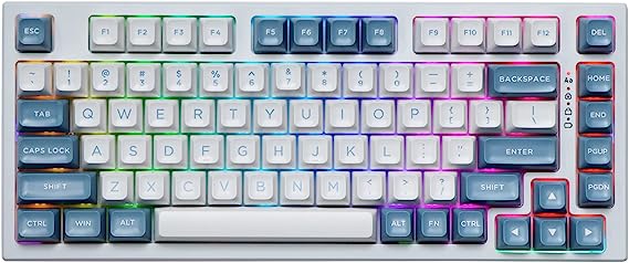 EPOMAKER EP75 75% Mechanical Keyboard, Hot Swap BT5.0/2.4G/USB-C Wired Gaming Keyboard, with 10000mAh Battery, RGB Backlights, Double Shot PBT Keycaps for Linux/Win/Mac(Pampas, Budgerigar Switch)