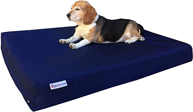 Dogbed4less Memory Foam Dog Bed | Orthopedic Ultra Plush Mattress, Thick Waterproof Lining and Machine Washable Cover, Multiple Sizes/Colors