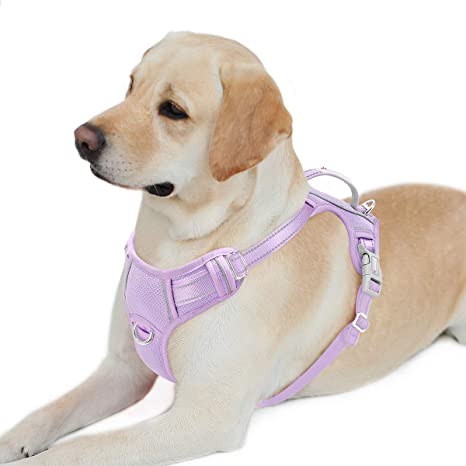 BARKBAY No Pull Dog Harness Front Clip Heavy Duty Reflective Easy Control Handle for Large Dog Walking with ID tag Pocket(Violet Purple,L)