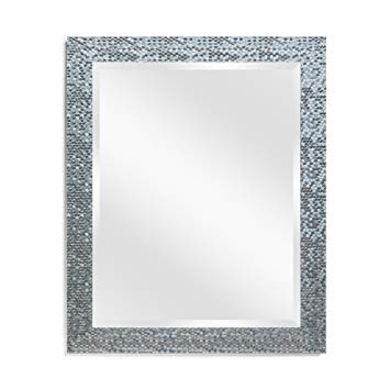 Wall Beveled Mirror Framed - Bedroom or Bathroom Rectangular Frame Hangs Horizontal & Vertical by EcoHome (27x33, Silver)