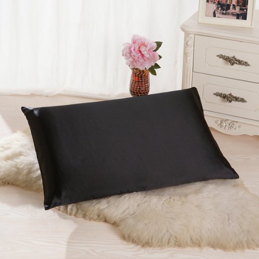 Alaska Bear® Natural Silk Pillowcase for Hair & Facial Beauty Queen Standard Size, Black Pillow Shams Case with Hidden Zipper - Better than Satin, Polyester or Cotton Pillowcases (1, Black)