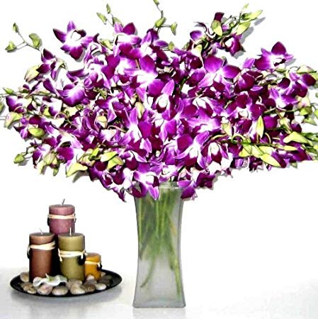 Fresh Flowers - 20 Premium Purple Dendrobium Orchids with Vase