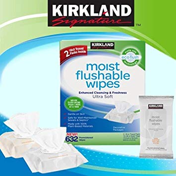 Kirkland Signature Moist Flushable Wipes, 632 Wipes