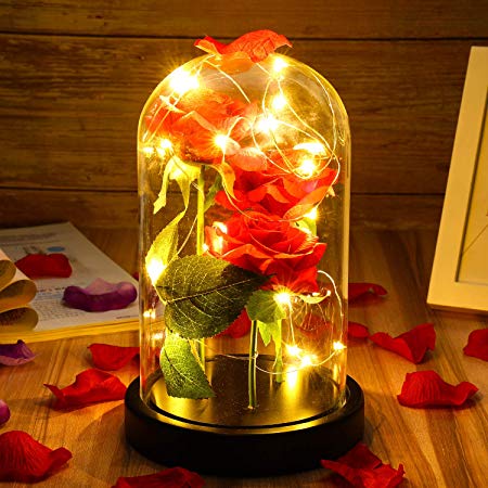 Tiaronics Beauty and The Beast Rose, Red Silk Rose in Glass Dome with Gift Package Best Gifts for Her, Anniversary, Wedding, (Red Silk 3Roses)