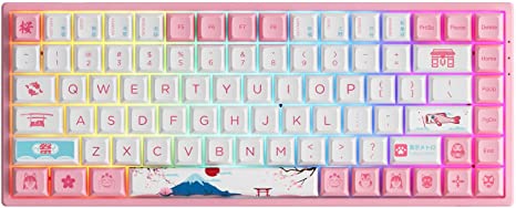 Akko World Tour Tokyo 75% Hot-swappable Mechanical Gaming Keyboard with PBT Keycaps, 2.4G Wireless/Bluetooth/Wired 3084B Plus 84-Key RGB Keyboard, Compatible with Mac & Win Jelly Pink Switches