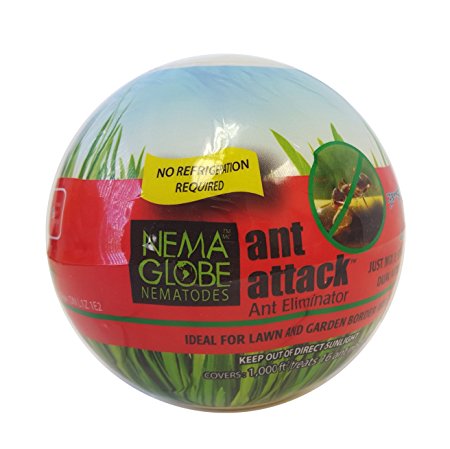 10 million Beneficial Nematodes (S.feltiae) - Nema Globe Ant Attack Tick and Pest Control New "No Refrigeration Required" Formula