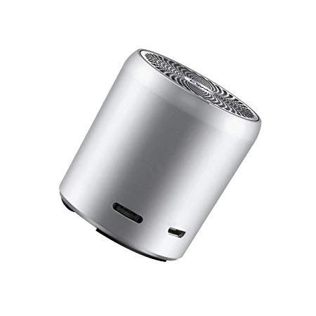 EWA Mini Metal Bluetooth Speaker A107, True Wireless Stereo(TWS), Bass Radiator Enhance Impactive Bass, Powerful HD Sound and 8 Hours Playtime