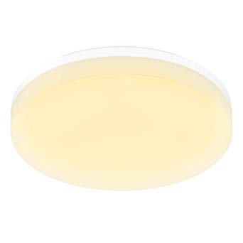 LE 15W Ceiling Light, 1250lm, 100W Incandescent Replacement, 8.7 Inch Flush Mount, Non-dimmable, for Bathroom, Dining Room, Bedroom, Corridor, Hallway, Warm White