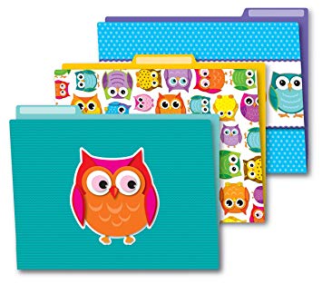 Carson Dellosa Colorful Owls File Folders (136009)