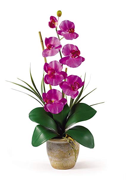 Nearly Natural 1016-OR Phalaenopsis Silk Orchid Flower Arrangement