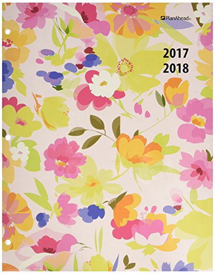 PlanAhead Plan Ahead See It Bigger 2 Year Monthly Planner, 2017-2018, Assorted Colors, Color May Vary (87067)