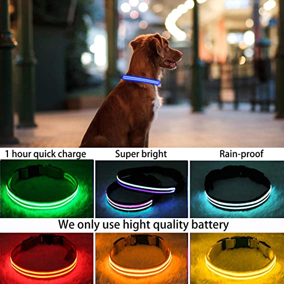 PPWW Light Up Dog Collar - LED Dog Collar - USB Rechargeable, Waterproof - Safe Design - Glow Collars for Dogs