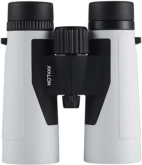 Avalon 10x42 PRO HD Binoculars (PLATINUM)