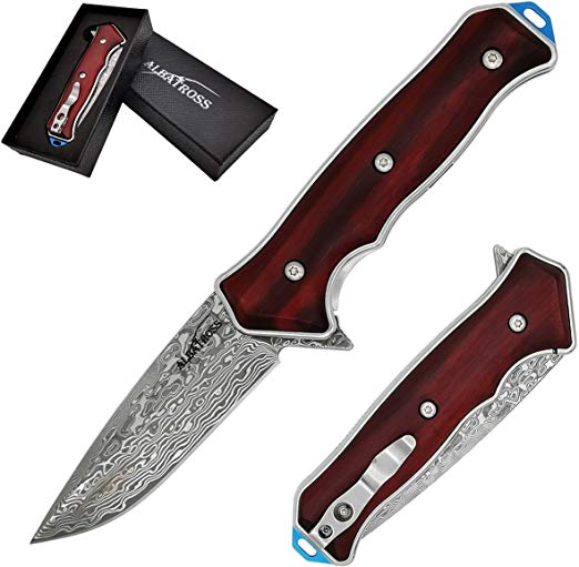 ALBATROSS HGDK001 EDC Classic Damascus Folding Camping Pocket Knives with Liner Lock,Cocobolo Wood Handle,Gifts/Collections