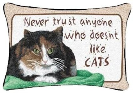 Manual Never Trust Cats 12.5 x 8.5-Inch Decorative Throw Pillow