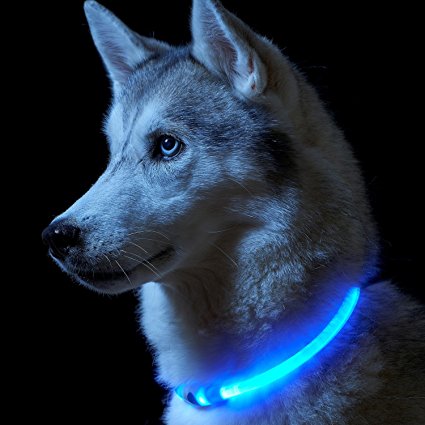 Auraglow Super Bright LED Light Up Dog Collar High Visibility Flashing Safety Pet Leash - BLUE