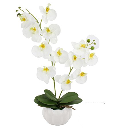 24" Tall Large Potted White Artificial Silk Orchid Arrangement with Ceramic Vase,12 Blossom Heads Real Touch Artificial Bonsai For Home Decor (24-inch)