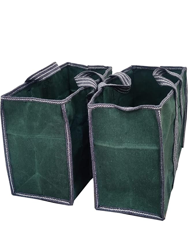 Brothers Enterprises Pack of 2 Canvas Grocery Shopping Bags with Reinforced Handles (48 x 23 x 33-cm, Green)