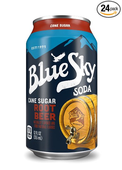 Blue Sky Cane Sugar Soda (Root Beer, 12 Ounce, Pack of 24)