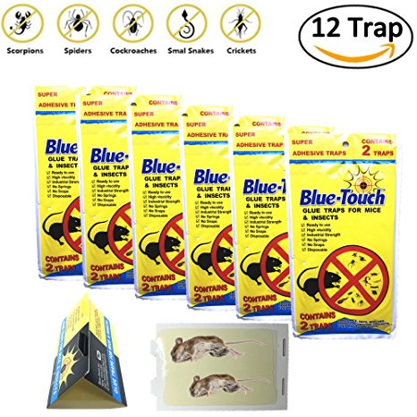 12 Traps (6 Pack) Blue Touch Sticky Mouse Traps, Mouse Glue Board Professional Sticky Mouse& Insect trap, Better Than JT Eaton, Victor Glue Board & Masterline,NON-TOXIC,Peanut Butter Scented