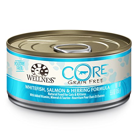 Wellness CORE Natural Canned Grain Free Wet Pate Cat Food