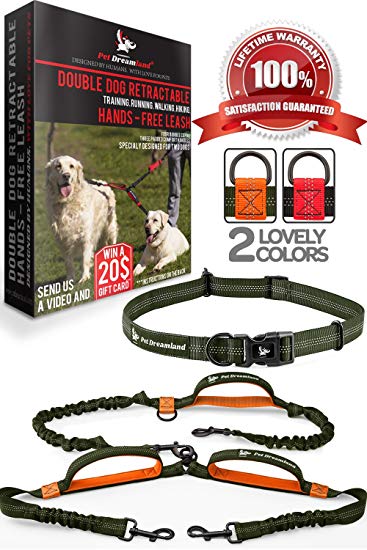 Pet Dreamland Hands Free Leash - For One/Two Medium to Large Dogs (up to 150lbs) - Running/Hiking/Dog Training - Heavy Duty Extra Long Bungee Lead - Waist Leashes for Dogs