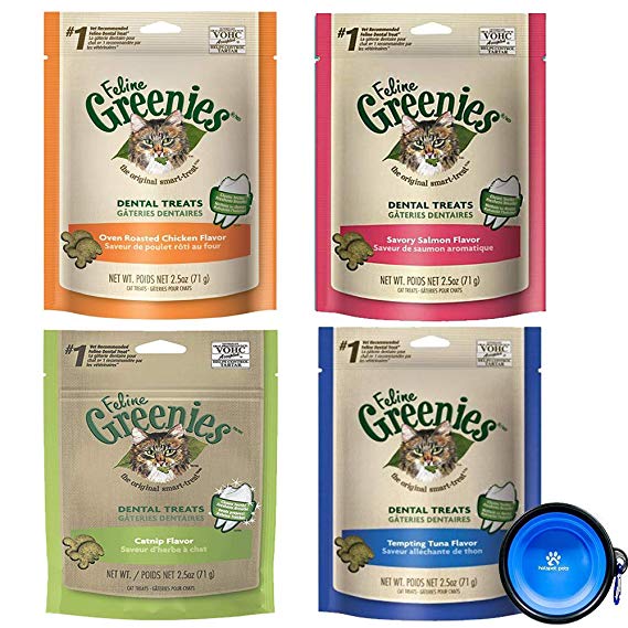 Greenies Feline Dental Treats for Cats 4 Pack Variety Bundle - Chicken,Salmon,Tuna, Catnip Flavors (2.5 Oz Each Bag) with Hotspot Pets Collapsible Travel Bowl