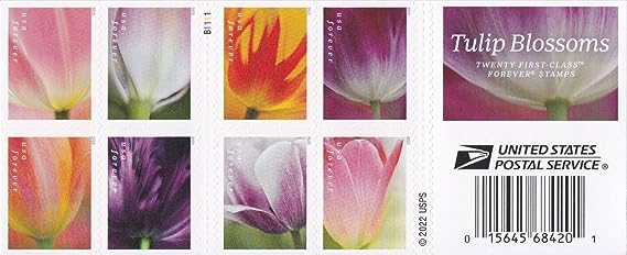 USPS 2023 Tulip Blossom Forever First Class Postage Stamps (20 Count Booklet)