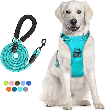 PoyPet No Pull Dog Harness and 5 Feet Leash Set, Release on Neck Reflective Adjustable Pet Vest, Front & Back 2 D-Ring and Soft Padded Pet Harness with Handle for Small to Large Dogs(Mint Blue,L)