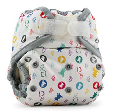 Kanga Care Rumparooz One-Size Cloth Diaper Cover, Snap, Roozy