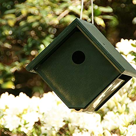 Songbird Essentials Recycled Plastic Wren House