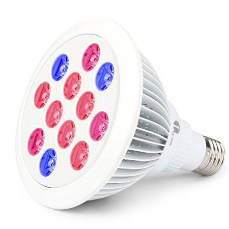 1byone Led Grow light Bulb, High Efficient Grow Plant Light for Hydroponic Greenhouse Gardening, Plants, Flowers, Fruits, Vegetables, 70-80% Energy Savings (E27, 24w)