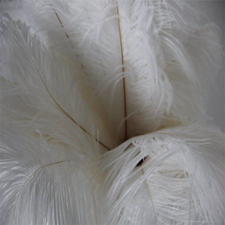 CITY 10pcs Real Natural 12-14 Inch(3035cm) Ostrich Feathers Decorations