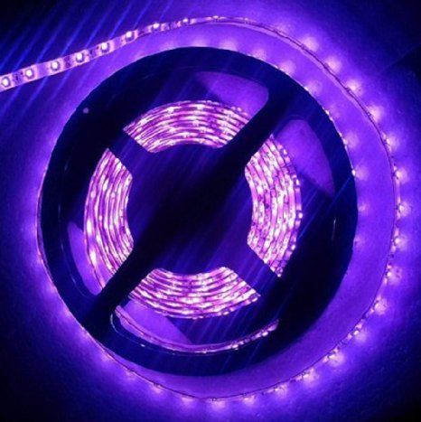 AMARS Waterproof IP65 5M/16.4ft 3528 SMD 60leds/m 300 LED UV 395nm-405nm Light Strip Outdoor DC 12V Purple/Ultraviolet LED Light Bulb Lighting