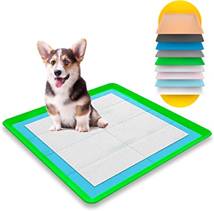 Skywin Dog Puppy Pad Holder Tray - No Spill Pee Pad Holder for Dogs - Pee Pad Holder Works with Most Training Pads, Easy to Clean and Store