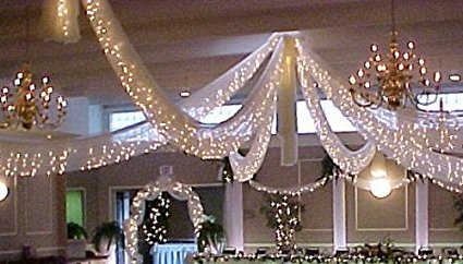 Spring Rose Christmas Wedding Decoration Light Set, 24 Feet Long, 100 Clear Bulbs with White Cord