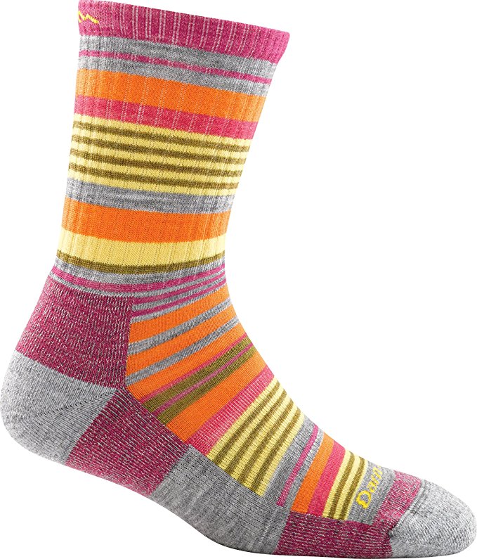 Darn Tough Women's Merino Wool Sierra Stripe Micro Crew Light Cushion Socks