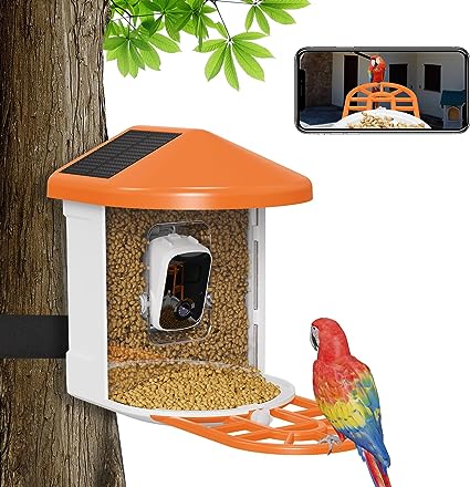 Oneware Bird Feeder Camera Wireless AI Identify Bird Species，Smart Outdoor Bird Watching Camera，Automatically Capture Bird Videos and notify via app，Solar Charging, Color Night Vision