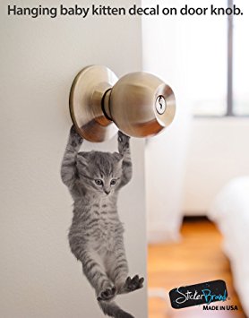 Cat decal cute hanging baby kitten door sticker #6067A