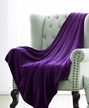 GorgeousHomeLinen 1 Purple Small Throw Super Soft Fleece Plush Warm Lightweight Bed or Couch Travel Multi Use Throw Blanket