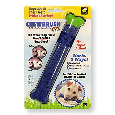 BulbHead Chewbrush Toothbrush Dog Toothbrush and Dog Toy - No Dog Toothpaste Required - Great Dog Teeth Cleaning Toys