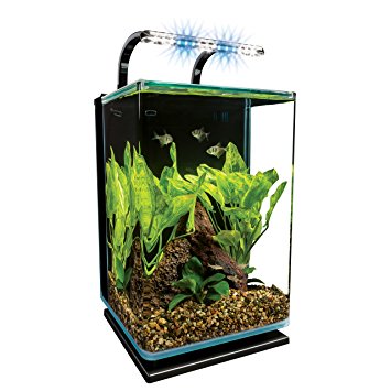 Marineland Contour Glass Aquarium Kit with Rail Light, 5-Gallon