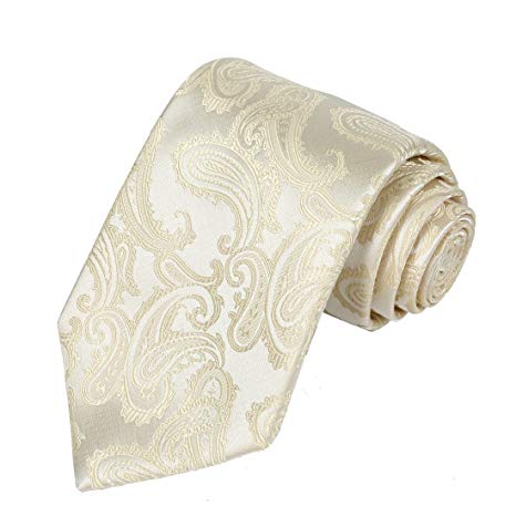 KissTies Mens Necktie Paisley Tie   Gift Box