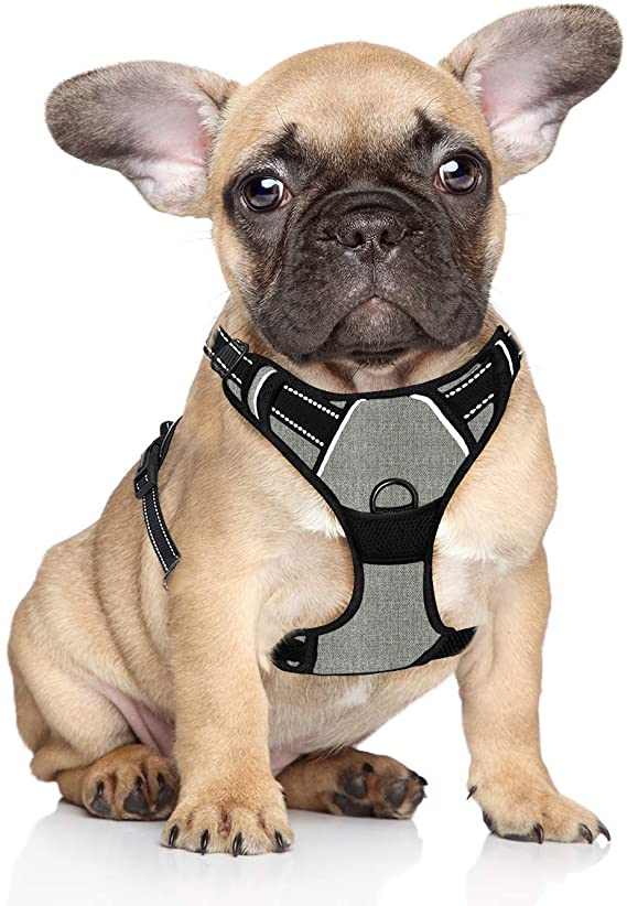 BARKBAY No Pull Dog Harness Large Step in Reflective Dog Harness with Front Clip and Easy Control Handle for Walking Training Running