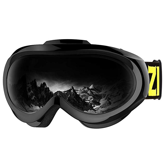 Zionor Lagopus X Mini Kids Snowmobile Snowboard Skate Ski Goggles with 100% UV Protection Anti-Fog Detachable Wide Angle Double Panoramic Lens for Youth