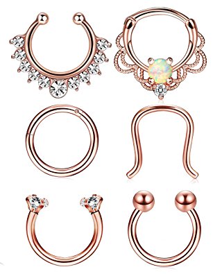 LOLIAS 6 Pcs 16g Stainless Steel Septum Ring Nose Hoop Septum Clicker Septum Retainer Set Body jewelry Piercing