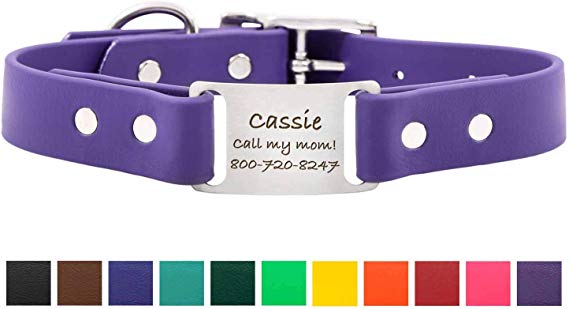 dogIDS Personalized Waterproof Dog Collars with Engraved ScruffTag Nameplate - Smell Resistant Collars