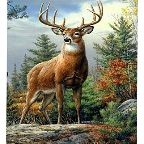 5D Diamond Painting Kits for Adults Full Drill DIY Deer Diamond Paintings Crystal Rhinestone Embroidery Pictures Cross Stitch Arts Craft for Home Wall Decor Gifts (Deer,16X20 inches)