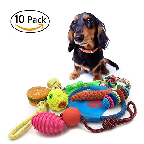 10 Pack Dog Toy Set Ball Rope and Chew Squeaky Toys for Small Medium Dog