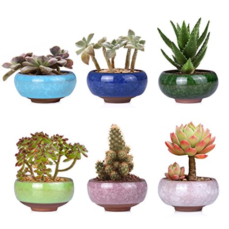WITUSE Cute Ice-Crack Glazed Ceramic Box Succulent Plant Pot For Home Office 6Pcs Set